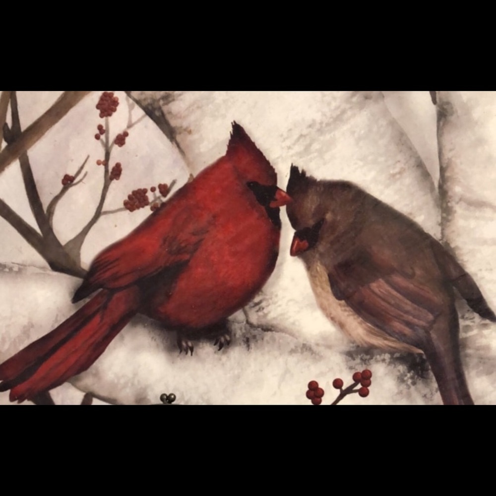 Meet your Posher, Suzie Z